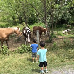 Stonebridge Park - Great safe strolling park!