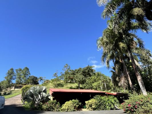 Hacienda Muñoz by null