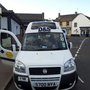 Photo of Harlequin of Dunblane