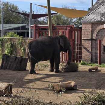 Audubon Zoo - Aquariums Near Me - New Orleans, Louisiana