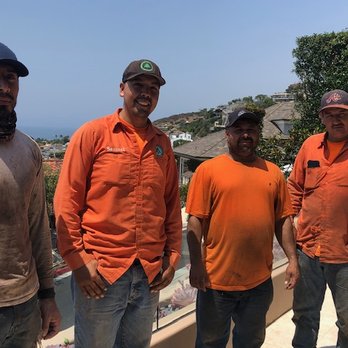 Freddy's Tree Service - Tree Services Near Me - Anaheim, California