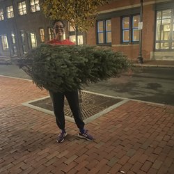 Christmas Tree 4Me - 7 foot Fraser $230