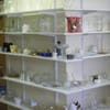 Cape Cod Hospital Thrift Store gift card