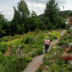 Alpenkräutergarten