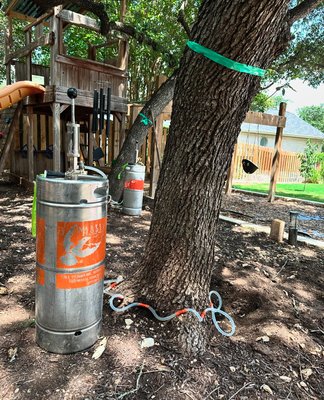 Disease & Insect Management - Trees - 🌳 Simple Leaf Tree Care 🌳

Hi, I’m Jacob McElroy, a Certified Arborist and the proud owner of Simple Leaf Tree Care. My passion for trees and the great outdoors inspired me to start this company, and with over 10 years of experience, I’m dedicated to keeping your trees happy and healthy.

Services We Offer:

Tree Removal
Stump Removal
Tree Planting
Disease Management
Insect Management
Special Offer: We’re ramping up our tree planting services this season! 🌱 Call us today for a free estimate, and let’s get a tree in the ground for you.

📞 Call today and hire a Certified Arborist to ensure your trees thrive!