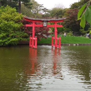 Brooklyn Botanic Garden - Japanese pond @brooklynbotanic - Botanical Gardens Near Me - Brooklyn, New York