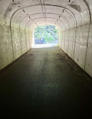 Bike the Gorge by null