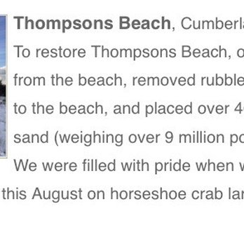 Thompsons Beach - Thompson's Beach - info from Delaware Bay Restoration org website - Beaches Near Me - Maurice River, New Jersey