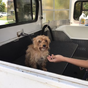 Bubbles Mobile Pet Spa - Pet Groomers Near Me