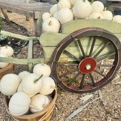 Mary's Place - White Pumpkins