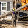 Photo of Jandreau's Tree Service
