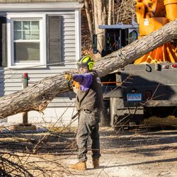 Jandreau's Tree Service