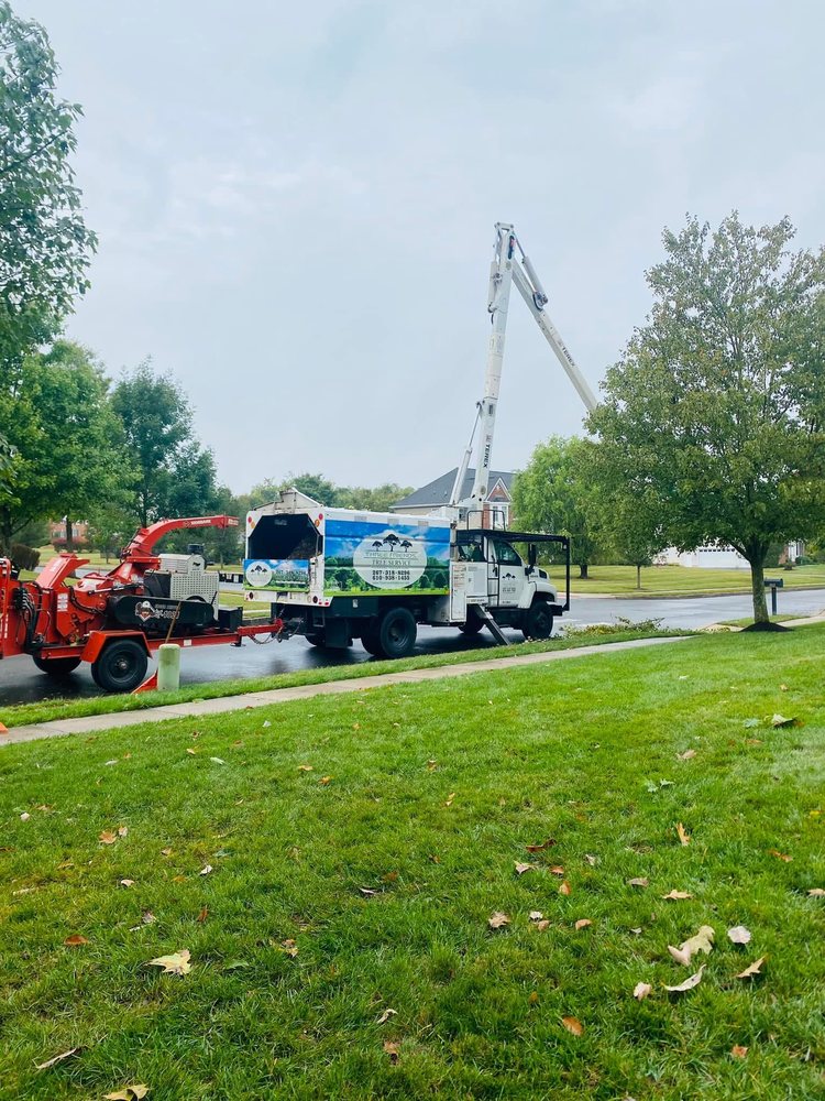 Penn Line Tree Service THREE FRIENDS TREE SERVICE - Updated June 2026 - 2320 Pennsylvania Ave ...