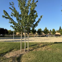 Volleyball court