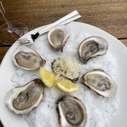 oysters