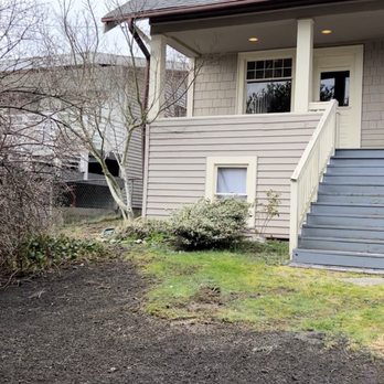 Saltos Landscaping - Before, extensive weed and tree removal - Irrigation Near Me Saltos Landscaping - Before, extensive weed and tree removal - Irrigation Near Me