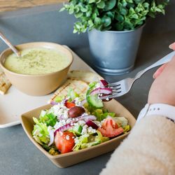 The Great Greek Mediterranean Grill