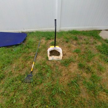 They Pooping We Scooping - Pet Waste Removal Near Me They Pooping We Scooping - Pet Waste Removal Near Me