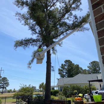 Fitness Tree Service - Tree Services Near Me - Wilmington, North Carolina Fitness Tree Service - Tree Services Near Me - Wilmington, North Carolina