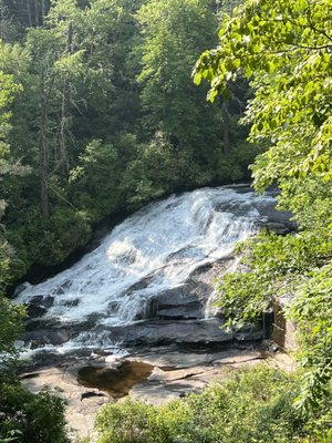 DuPont State Recreational Forest by null