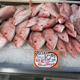 Fresh Gulf Snapper and they weren't small. Fresh Gulf Snapper and they weren't small.