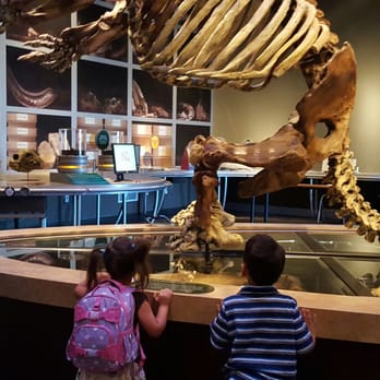 Western Science Center - Main Room Full of Fossil Displays - Museums Near Me - Hemet, California