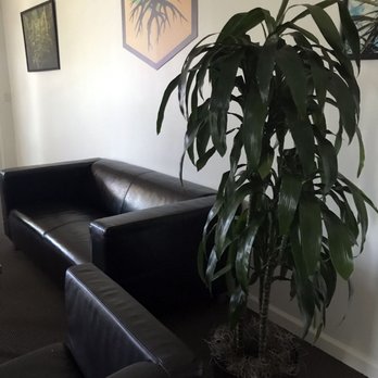 Inside Plants - Indoor Landscaping Near Me Inside Plants - Indoor Landscaping Near Me