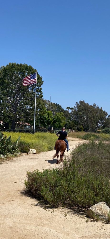 Blue Ribbon Saddle Club - equestrian in Newport Beach, CA