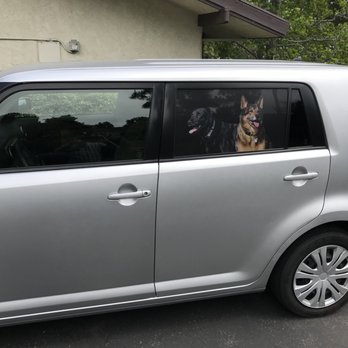 Hybrid Wraps - Here are my other dogs! - Vehicle Wraps Near Me - Huntington Beach , California