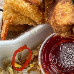 Cafe East Humble - Roach in food