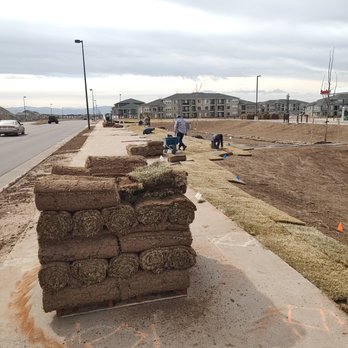Unswerving Development  - a pile of hay on a sidewalk - Landscaping Near Me