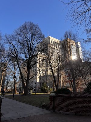 Washington Square by null