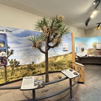 Joshua Tree Visitor Center - Visitor Centers Near Me - Joshua Tree, California Joshua Tree Visitor Center - Visitor Centers Near Me - Joshua Tree, California