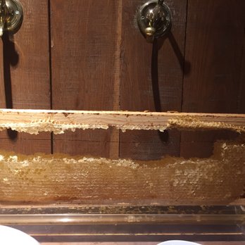 Bodegon Alejandro - The honey looked divine! - Basque Near Me - Donostia-san Sebastian, SS
