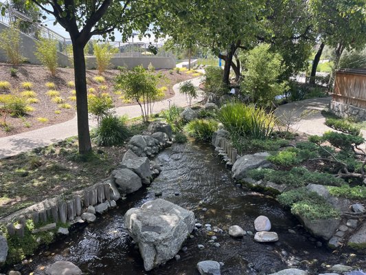 Japanese Garden by null