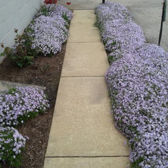 Image Hair Studio - Walkway to side entrance. - Hair Salons Near Me - York, Pennsylvania Image Hair Studio - Walkway to side entrance. - Hair Salons Near Me - York, Pennsylvania