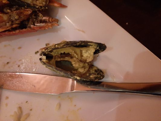 Christinas on the Danforth by null