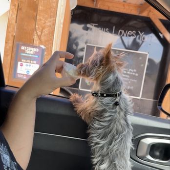 Revival Coffee - Pup cup - Coffee & Tea Near Me - Sullivan City, Texas Revival Coffee - Pup cup - Coffee & Tea Near Me - Sullivan City, Texas