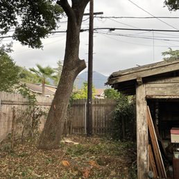 Live oak that had been a major threat to garage. Now safe and balanced. Healthy! Live oak that had been a major threat to garage. Now safe and balanced. Healthy!