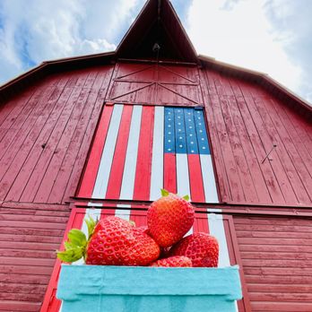 The Pumpkin Patch - U-Pick & Pre-Picked Strawberries now available! - Fruits & Veggies Near Me - Portland, Oregon
