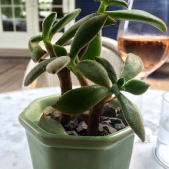 Josephine House - American Near Me - Austin, Texas