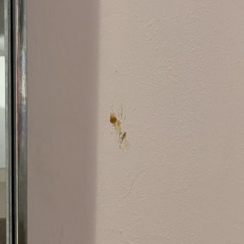 Forever 21 - Bodily fluids (so gross here) - Women's Clothing Near Me - Dublin, Ohio Forever 21 - Bodily fluids (so gross here) - Women's Clothing Near Me - Dublin, Ohio