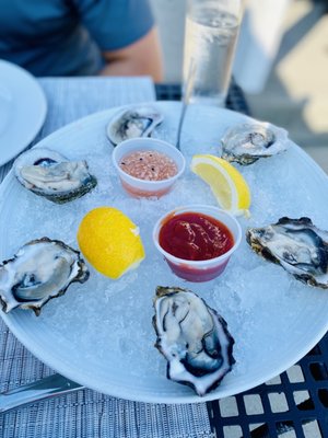 THE COVE RESTAURANT & OYSTER BAR - 379 Photos & 246 Reviews - Seafood
