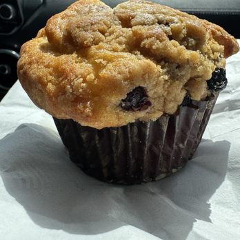 Foxtail Coffee - Blueberry muffin - Coffee & Tea Near Me - Winter Springs, Florida