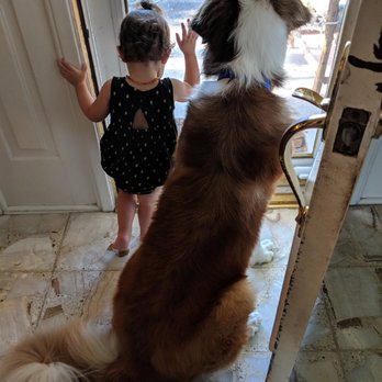 Plano Dog Grooming - Pet Groomers Near Me - Plano, Texas Plano Dog Grooming - Pet Groomers Near Me - Plano, Texas