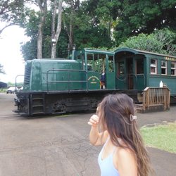 Kilohana - Train