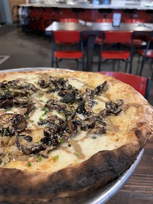 Pizzeria Vetri by null