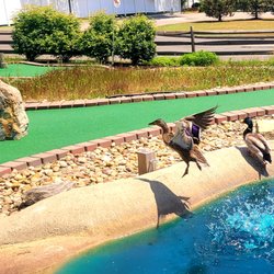 Mentor Mini Golf