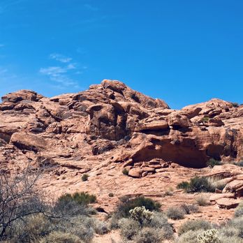 Ultimate Desert Adventures - ATV Rentals/Tours Near Me - Overton, Nevada