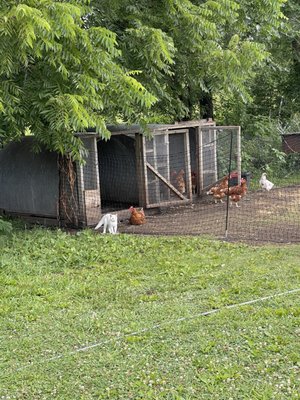 LT Organic Farm Restaurant by null